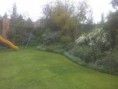 /album/jardines-paraiso1/fb-img-1587510846364-jpg/